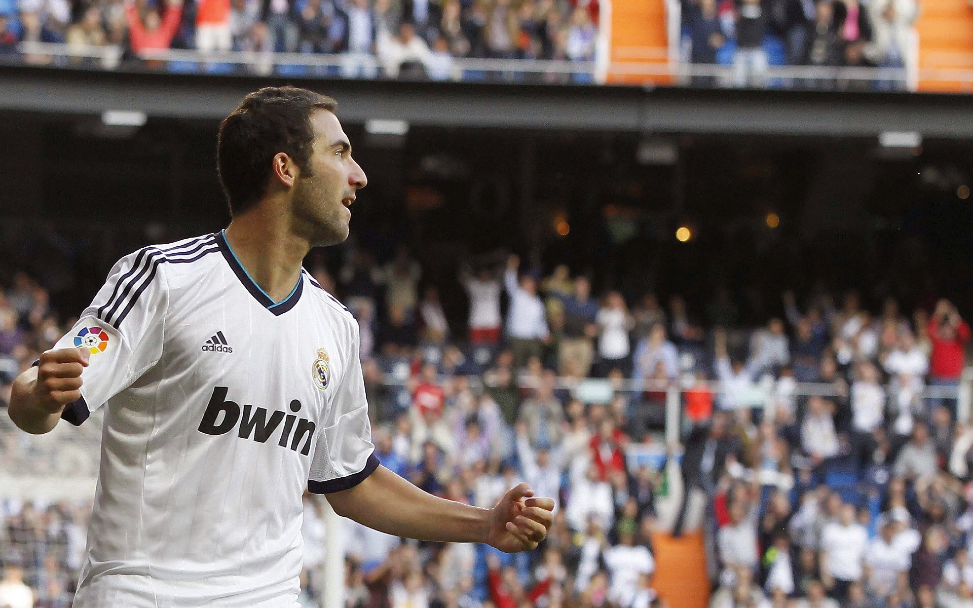 破茧成蝶，拉什福德压力下的自我救赎与爱尔兰橄榄球的涅槃重生