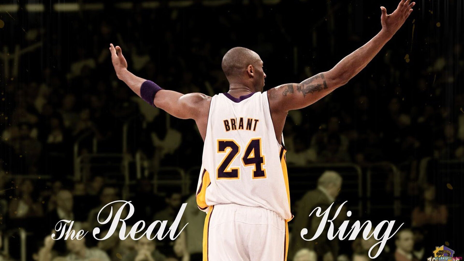 上海滩新王当立!班凯罗一剑封喉,上海队史诗级击溃十一冠王广东