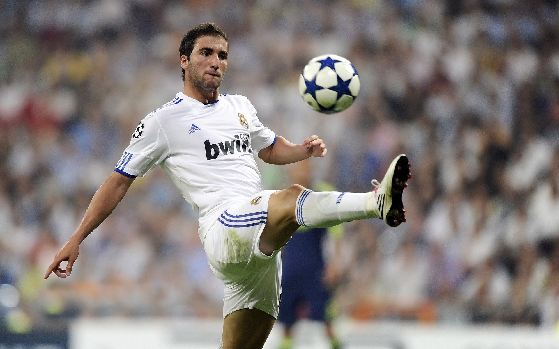 班凯罗无解之谜，山西末节风暴如何带走黄蜂